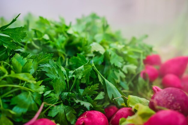 Verduras frescas de temporada bajo el sistema de nebulización para mantener las verduras frescas Foco selectivo fondo borroso Publicidad de alimentos frescos y sistemas de conservación de la frescura