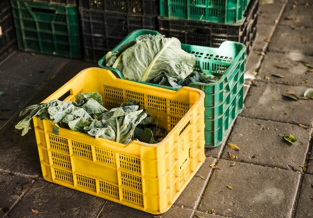 Verduras de hoja en caja de plástico en el supermercado