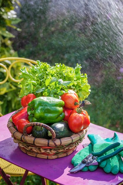 Verduras en una mesa en un jardín.