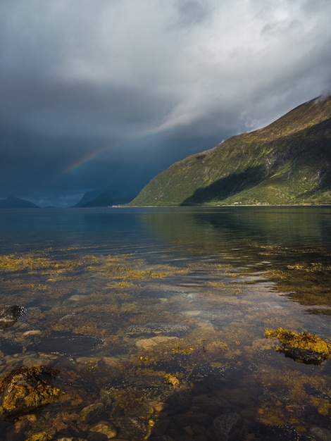 Vertical del musgo en el agua transparente del lago y un arco iris en el cielo nublado