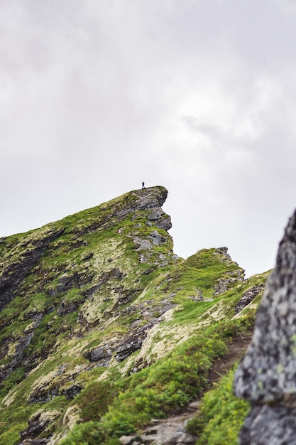 Vertical de una roca verde cerca del pueblo Reinebringen de las Islas Lofoten