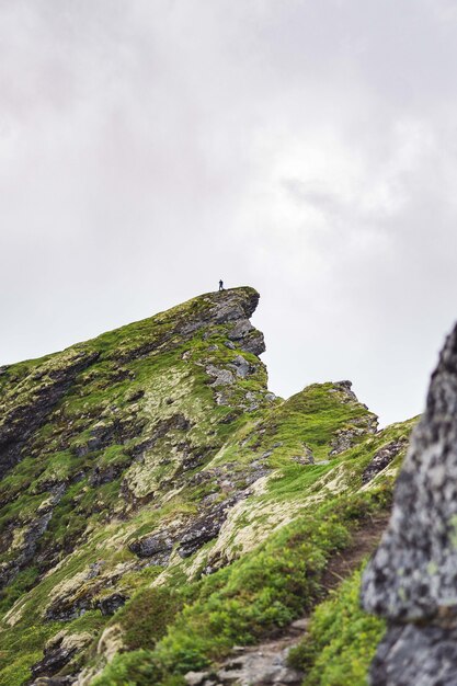 Vertical de una roca verde cerca del pueblo Reinebringen de las Islas Lofoten