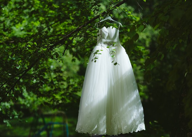 Vestido de novia colgado de un árbol en el parque