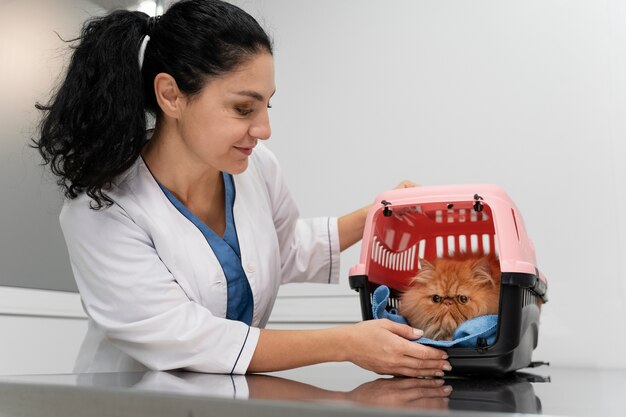 Veterinario cuidando mascota