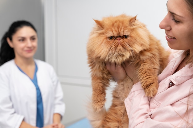 Foto gratuita veterinario cuidando mascota