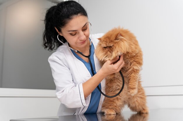 Veterinario cuidando mascota