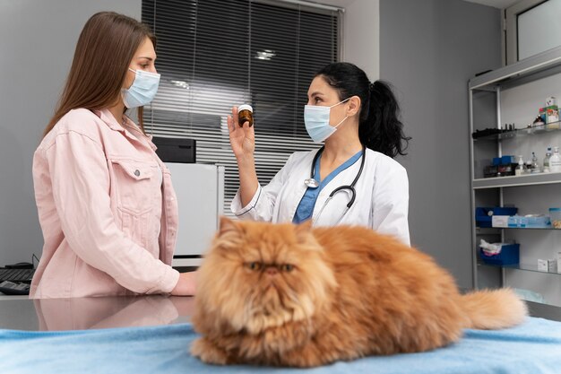 Veterinario cuidando mascota