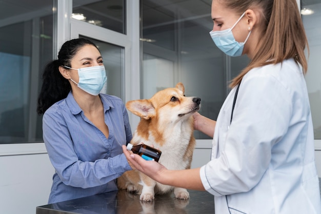 Foto gratuita veterinario cuidando perro mascota