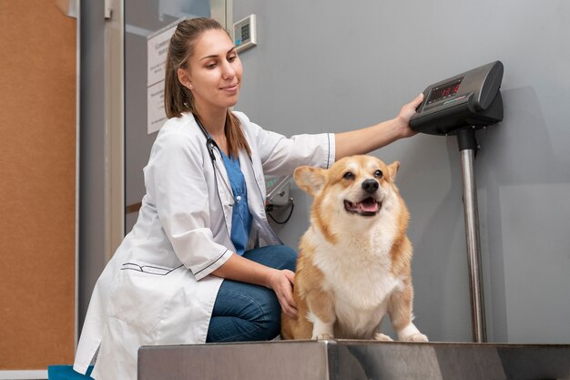 Veterinario cuidando perro mascota