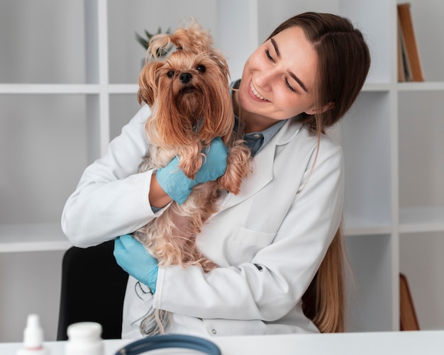 Foto gratuita veterinario que controla la salud del cachorro