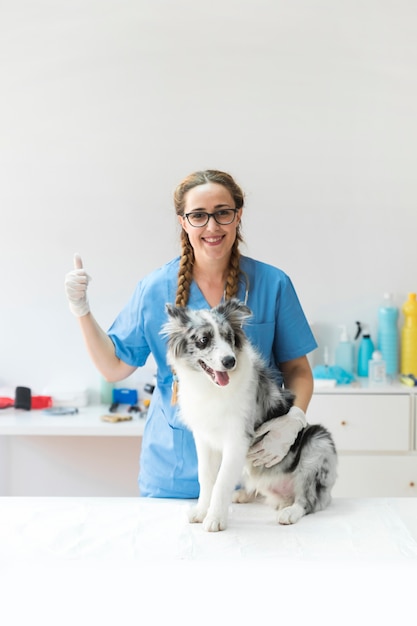 Veterinario de sexo femenino feliz con el perro en la tabla que muestra la muestra del thumbup