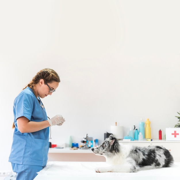 Veterinario de sexo femenino que se coloca cerca del perro en la tabla en clínica