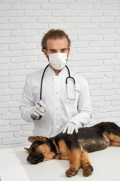 Veterinario sosteniendo jeringa perro acostado de lado