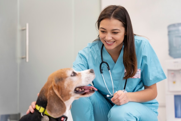 Foto gratuita veterinario de tiro medio y lindo perro