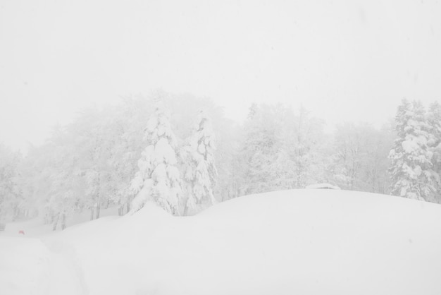 Viaje al aire libre colina nieve fría