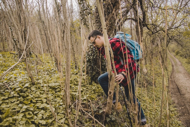 Foto gratuita viajero caminando por el bosque