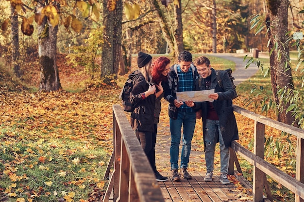 Foto gratuita viajes, senderismo, concepto de aventura. grupo de jóvenes amigos caminando en el bosque colorido de otoño, mirando el mapa y planeando una caminata.