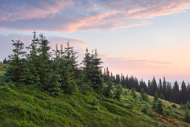 Viajes, trekking. Paisaje de verano: montañas, hierba verde, árboles y cielo azul.