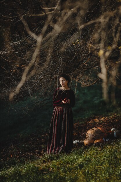 Las vibraciones del otoño. Estilo gótico. Mujer morena en paño rojo oscuro