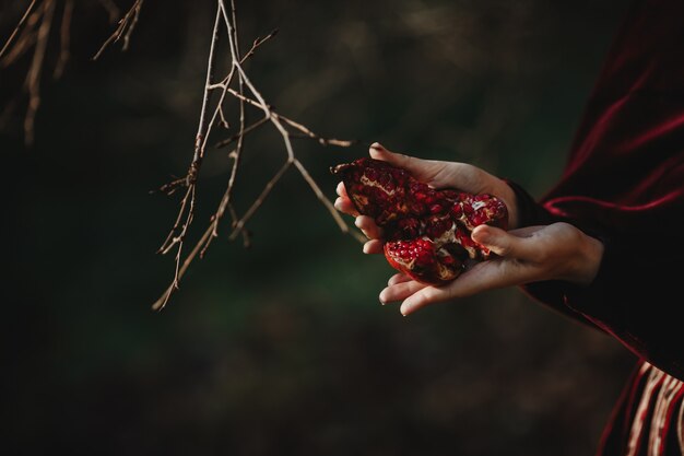 Las vibraciones del otoño. Estilo gótico. Mujer morena en paño rojo oscuro