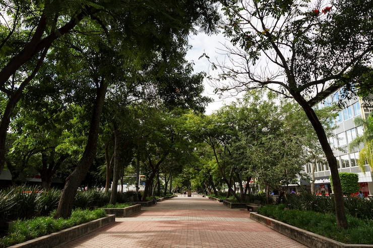 Foto gratuito la vida en el paisaje de méxico con ruta.