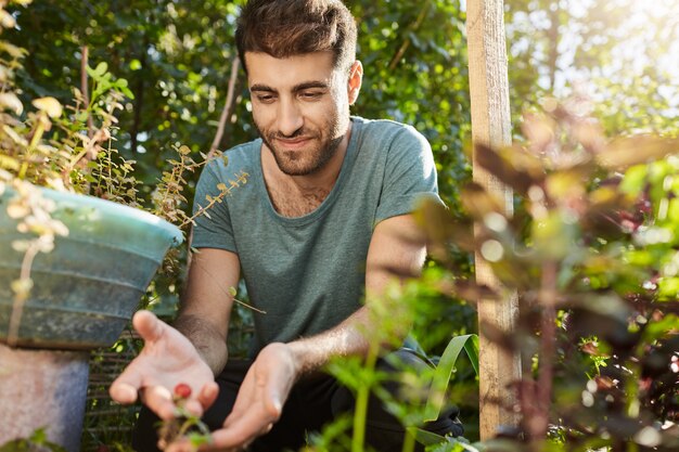 Vida rural. Cerca de joven agricultor hispano barbudo atractivo en camiseta azul trabajando en su granja, recogiendo bayas, plantando semillas. Jardinero mirando por encima de las plantas en el jardín