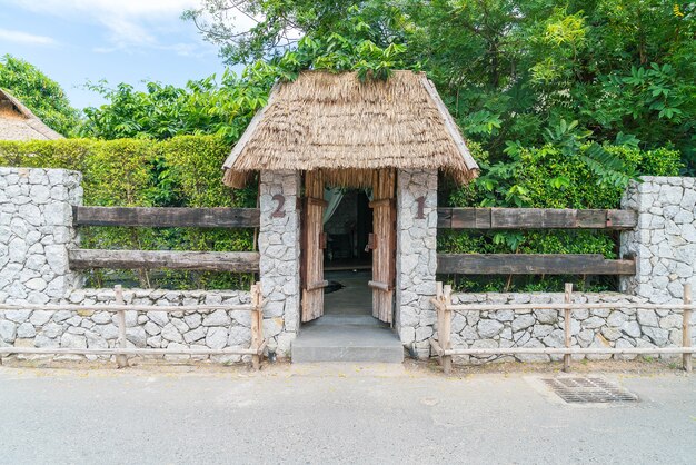 Una vieja puerta de madera