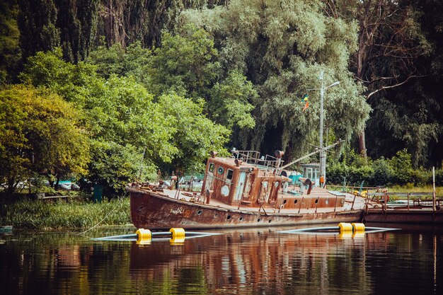 Viejo barco de madera cerca de la orilla de un lago rodeado de naturaleza exuberante