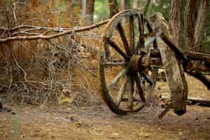 Foto gratuita viejo carro en el bosque