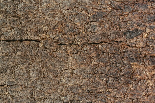 Viejo fondo de grano de madera.