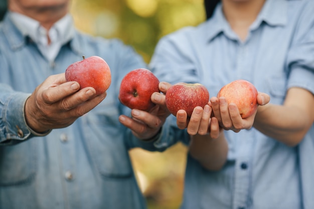 Viejo senior de pie en un jardín de verano con manzanas