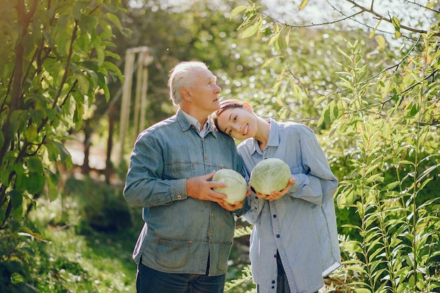 Viejo senior de pie en un jardín de verano con repollo