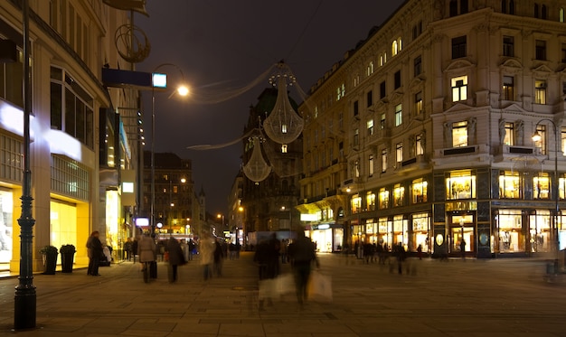 Viena en la noche. Austria