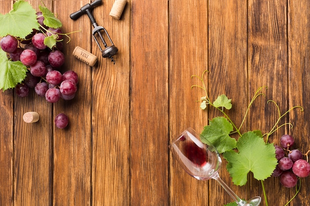 Viñas y uvas para vino tinto.