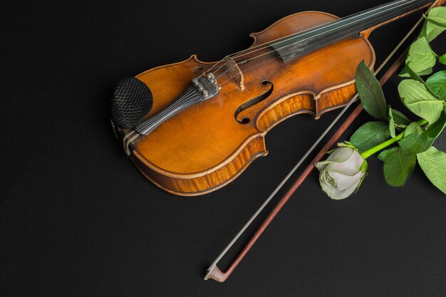 Violín y rosa sobre fondo negro