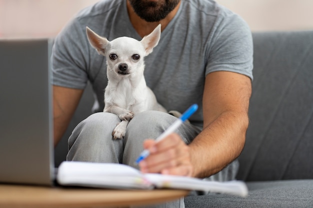 Foto gratuita vista del adorable perro chihuahua pasando tiempo con el dueño masculino en casa