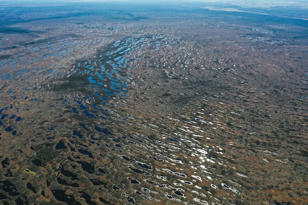 Vista aérea del área del lago con vegetación.