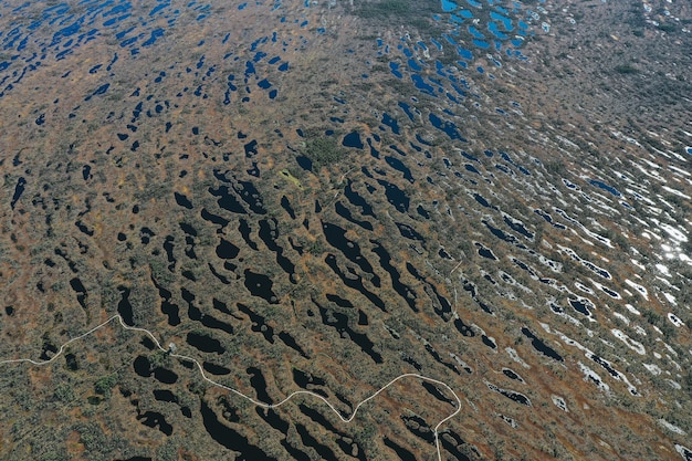 Foto gratuita vista aérea del área del lago con vegetación.