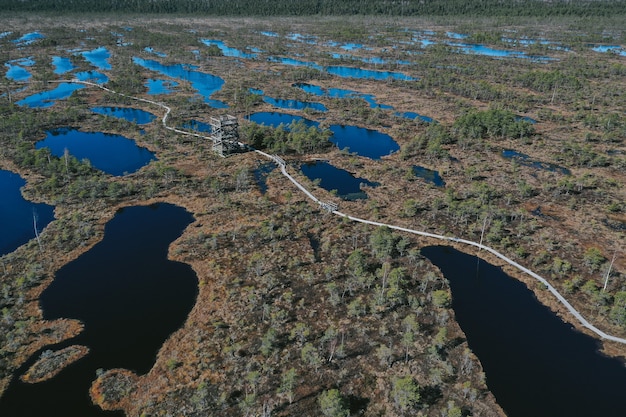 Foto gratuita vista aérea del área del lago con vegetación.