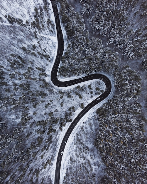 Vista aérea de arriba hacia abajo de un camino sinuoso en medio de árboles y nieve