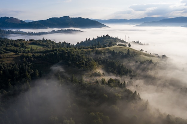 Vista aérea del bosque envuelto en niebla matutina