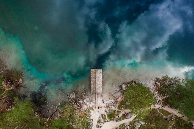 Vista aérea del bosque del lago