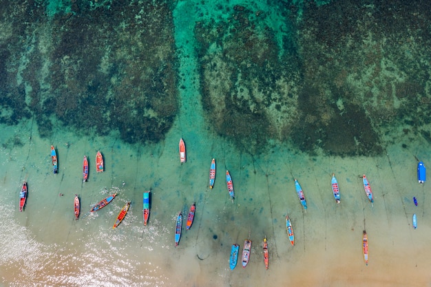 Vista aérea de botes de cola larga en el mar en la isla de koh tao, tailandia