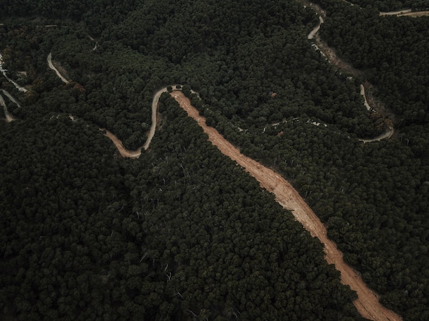 Vista aérea del camino de tierra rodeado de bosque denso