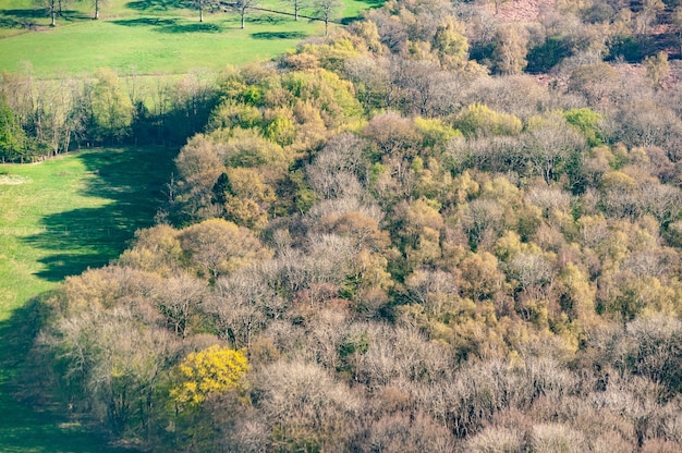 Vista aérea del campo acercándose al aeropuerto de Gatwick de Londres