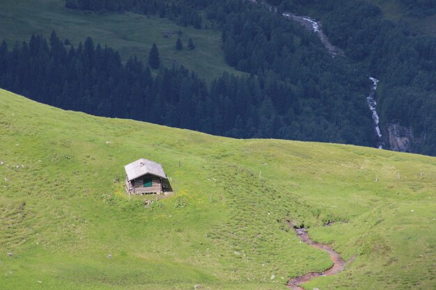 Vista aérea de un campo verde en una colina con una pequeña cabaña y un bosque en la parte de atrás