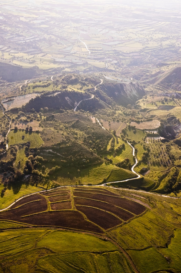 Foto gratuito vista aérea de los campos agrícolas