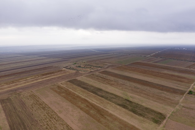 Vista aérea de campos agrícolas.