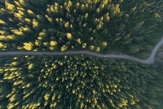 Vista aérea de una carretera en medio de un bosque otoñal lleno de árboles coloridos