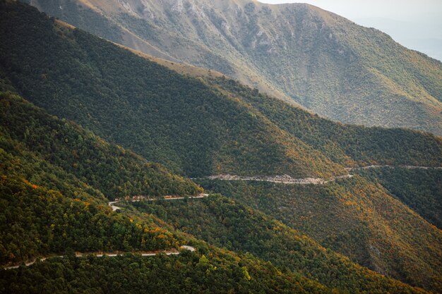 Vista aérea de una carretera rural pasando por los árboles y las montañas